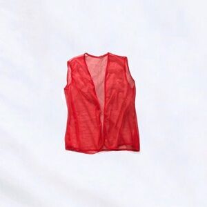 3 for $25 : vintage sheer robe